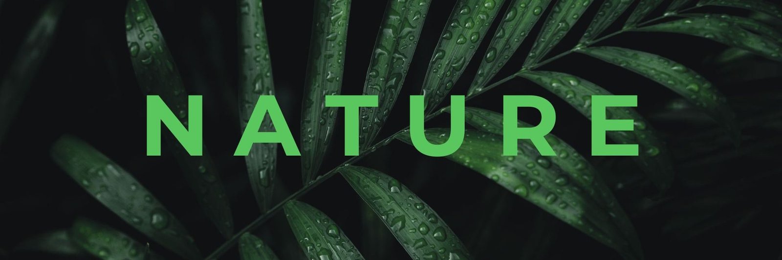 Nature Site slideshow