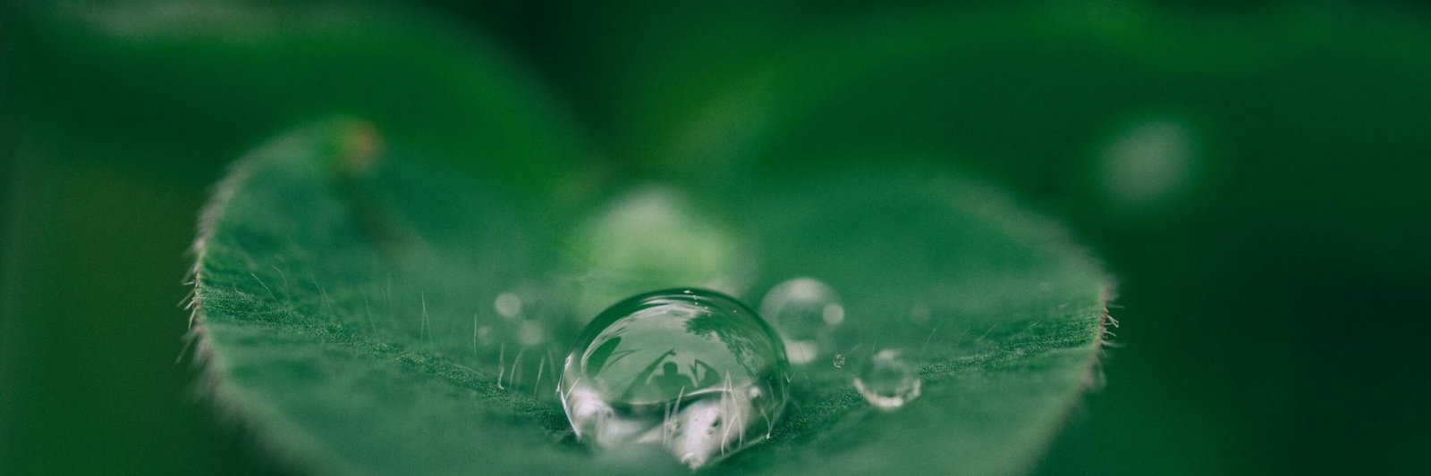 Nature Site slideshow